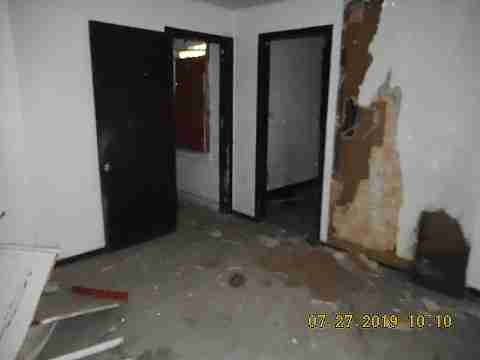 16737 Dolphin (10)_m.jpg